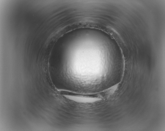 X0000070230919200606091713