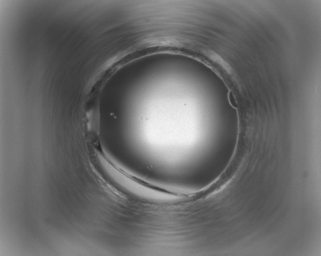 X0000070230922200606091713