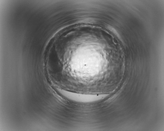 X0000070230923200606091713