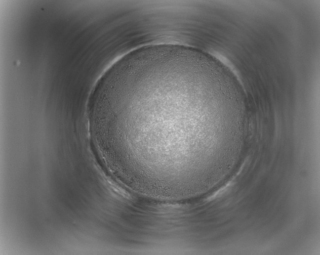 X0000070230925200606091713