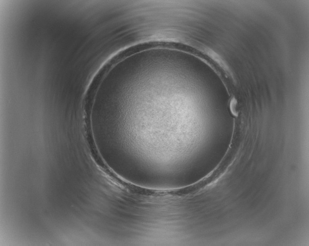 X0000070230926200606091713