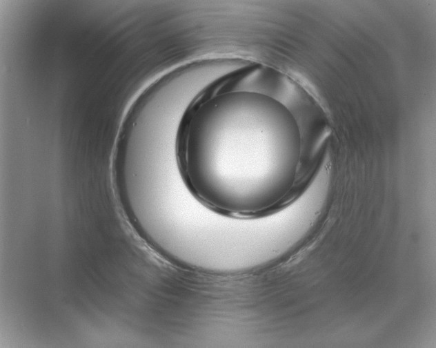 X0000070230928200606091713