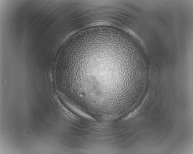 X0000070230929200606091713