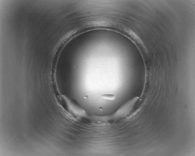 X0000070230930200606091713