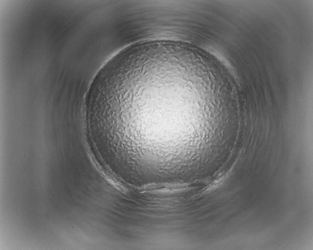 X0000070230933200606091713