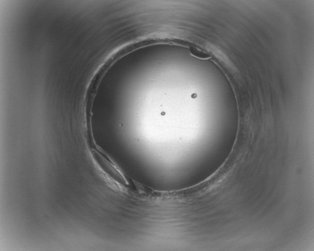 X0000070230934200606091713