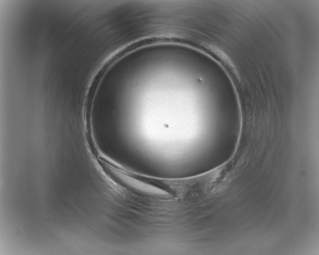 X0000070230935200606091713