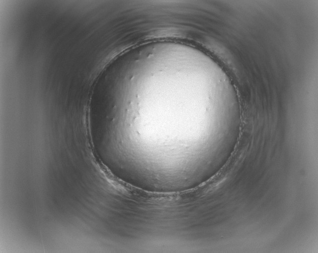 X0000070230937200606091713