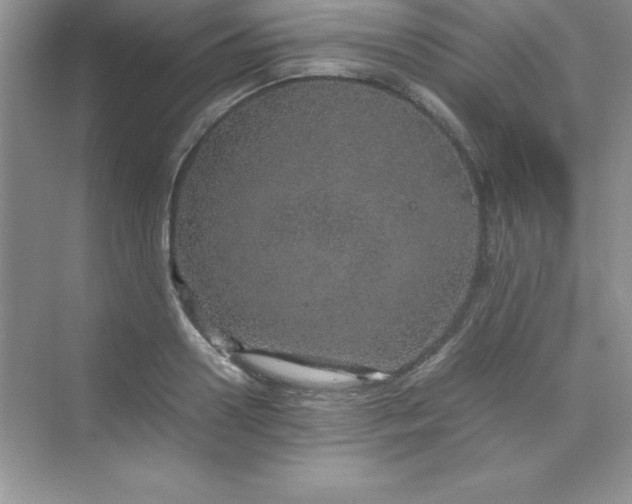 X0000070230938200606091713