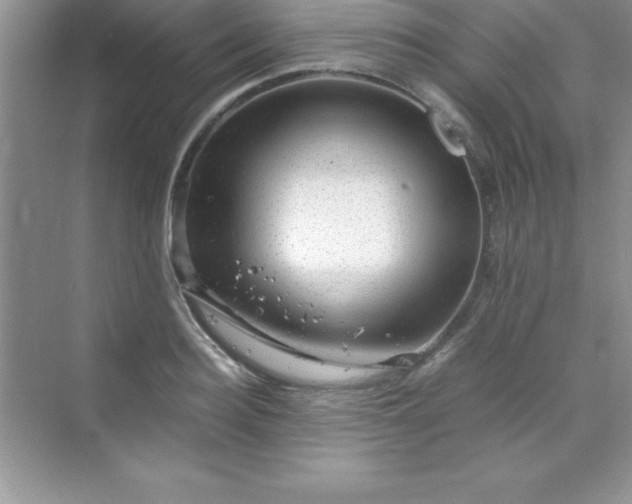 X0000070230940200606091713