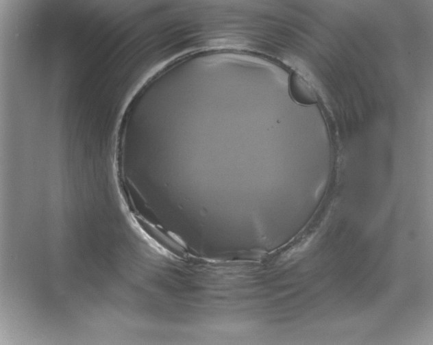 X0000070230941200606091713