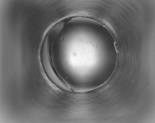 X0000070230944200606091713