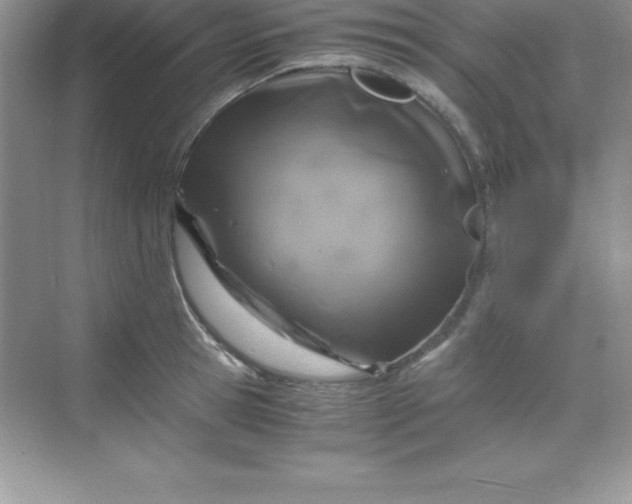 X0000070230945200606091713