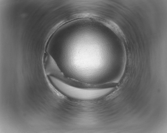 X0000070230946200606091713