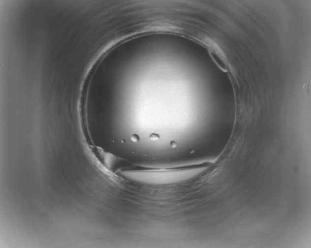 X0000070230947200606091713