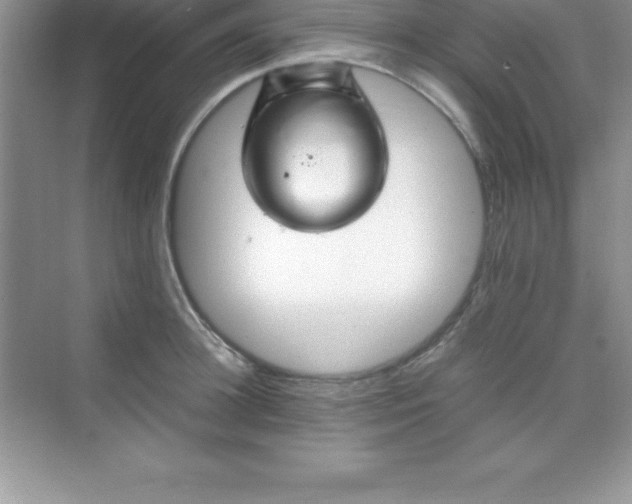 X0000070230948200606091713