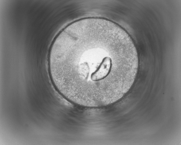 X0000070230950200606091713