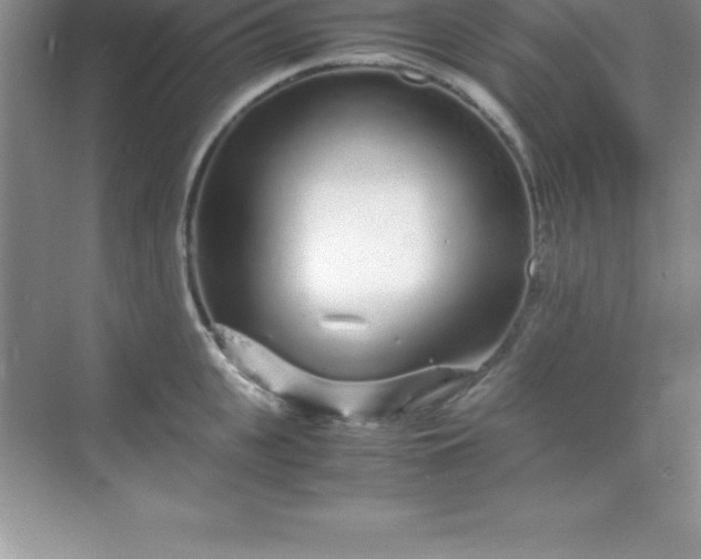 X0000070230951200606091713