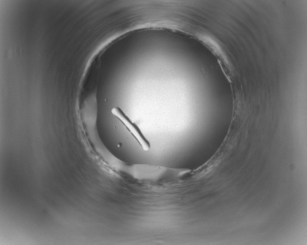 X0000070230952200606091713