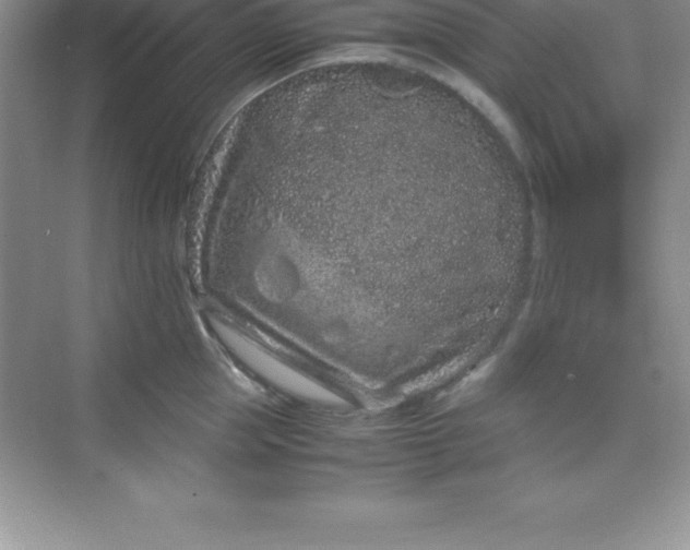 X0000070230953200606091713