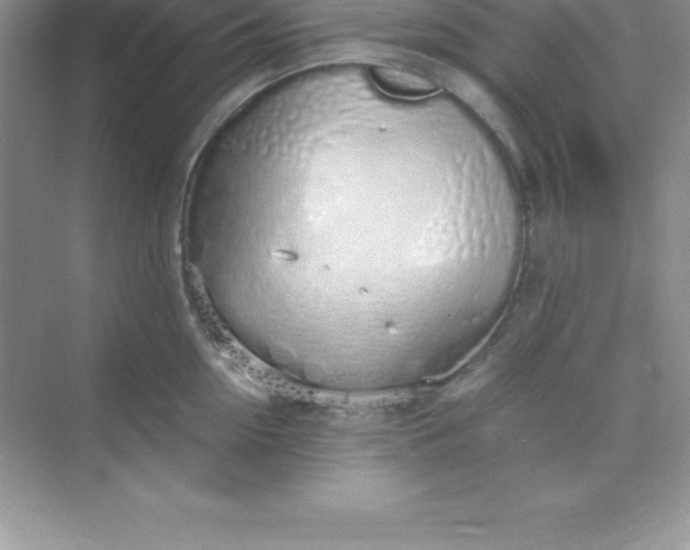 X0000070230954200606091713