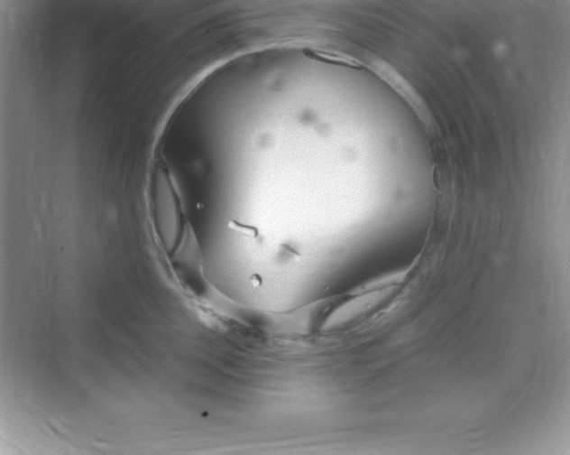 X0000070230956200606091713