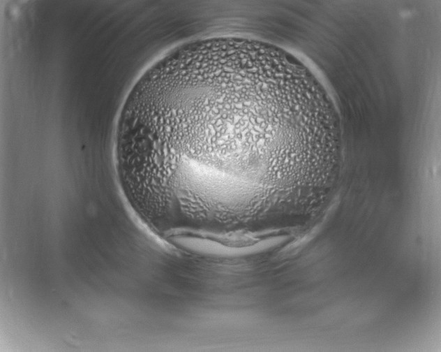 X0000070230957200606091713