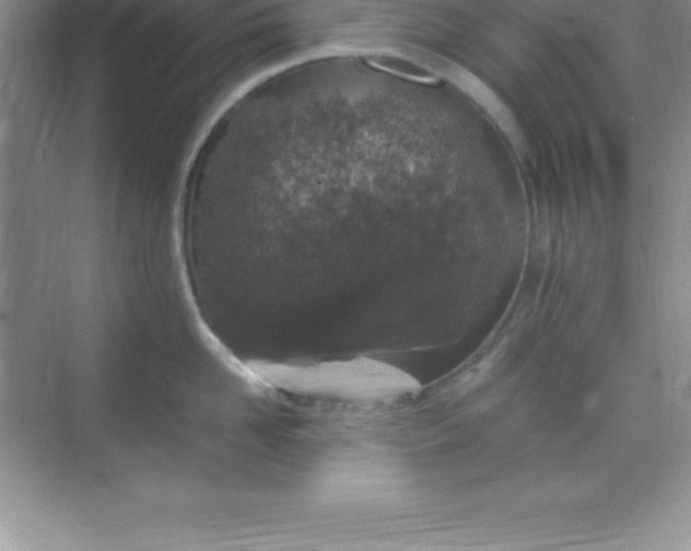 X0000070230958200606091714