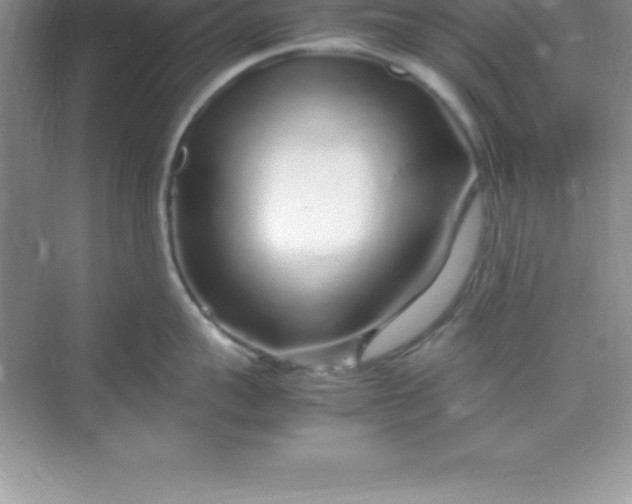 X0000070230959200606091714