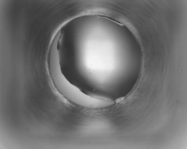 X0000070230960200606091714