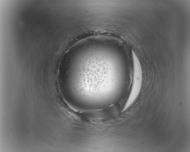 X0000070230961200606091713