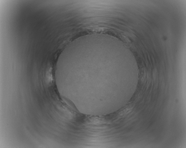 X0000070230962200606091713