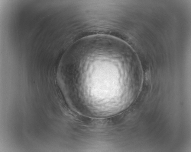 X0000070230963200606091713