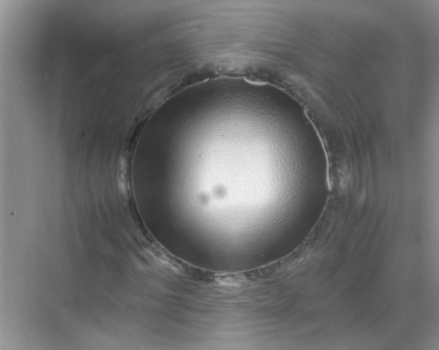 X0000070230964200606091713