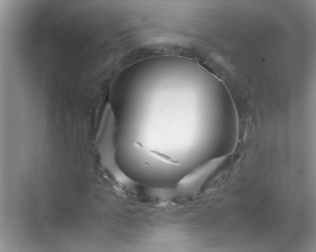 X0000070230965200606091713