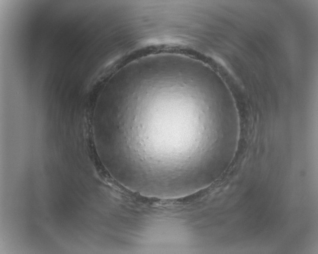 X0000070230967200606091713