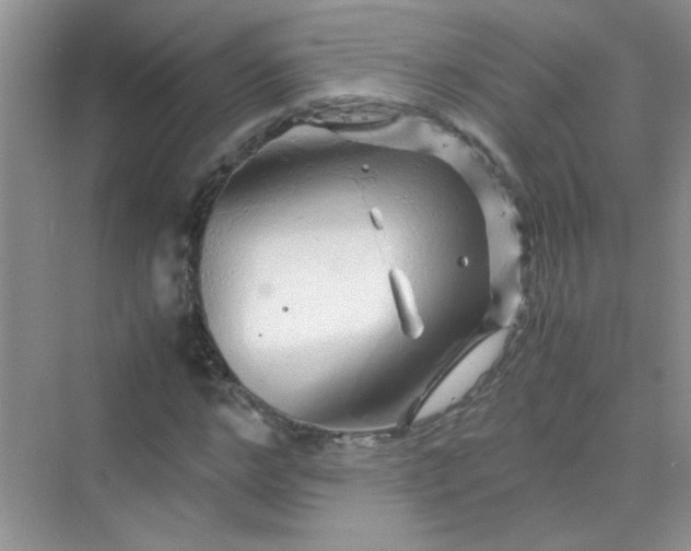 X0000070230968200606091713