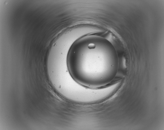 X0000070230969200606091713