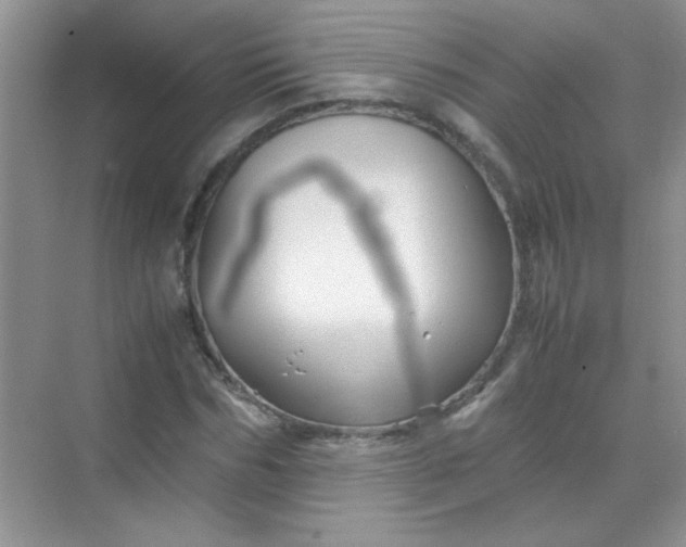 X0000070230970200606091713