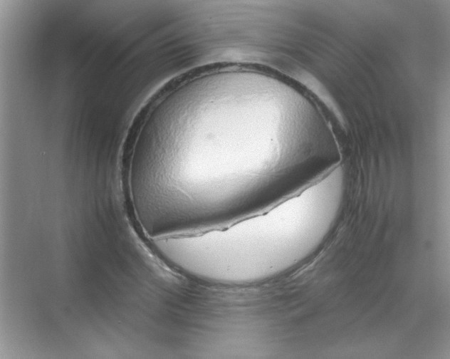 X0000070230972200606091713