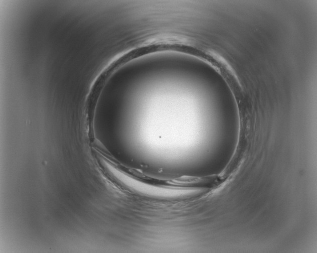 X0000070230973200606091713