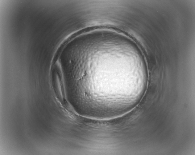 X0000070230975200606091712