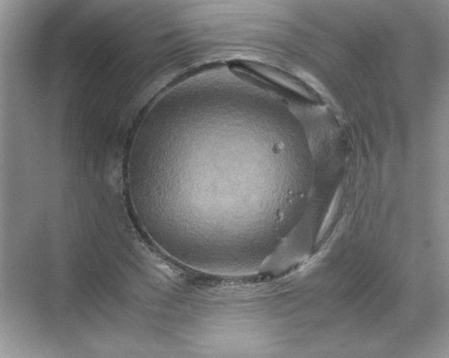 X0000070230977200606091712