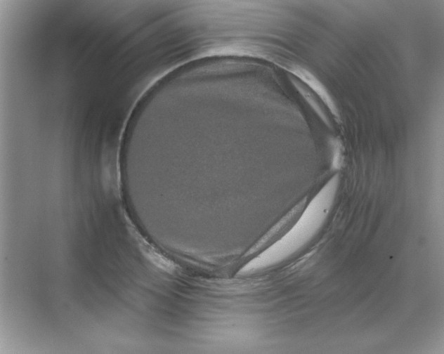 X0000070230980200606091712