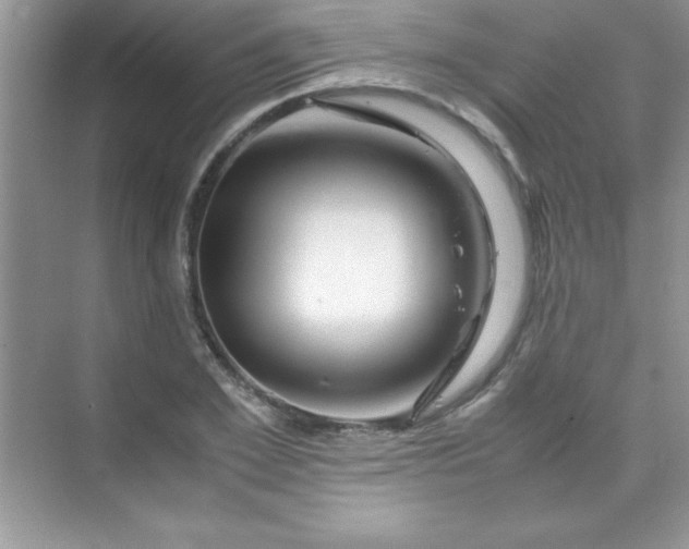 X0000070230981200606091712