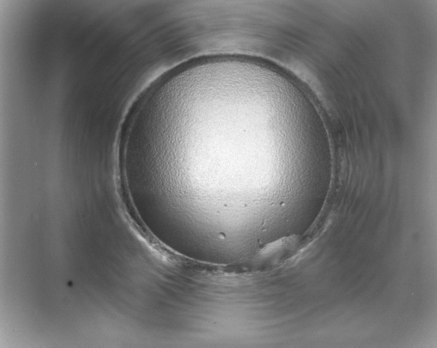 X0000070230982200606091712