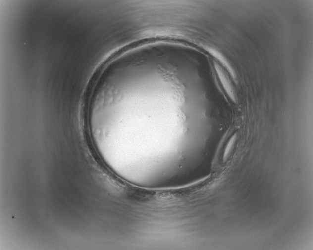 X0000070230983200606091712