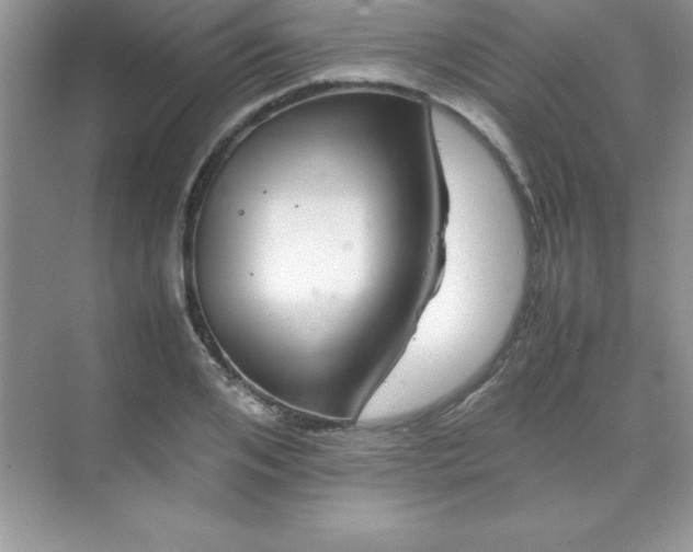 X0000070230984200606091712