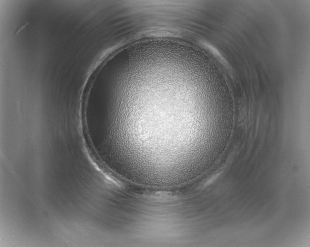 X0000070230986200606091712