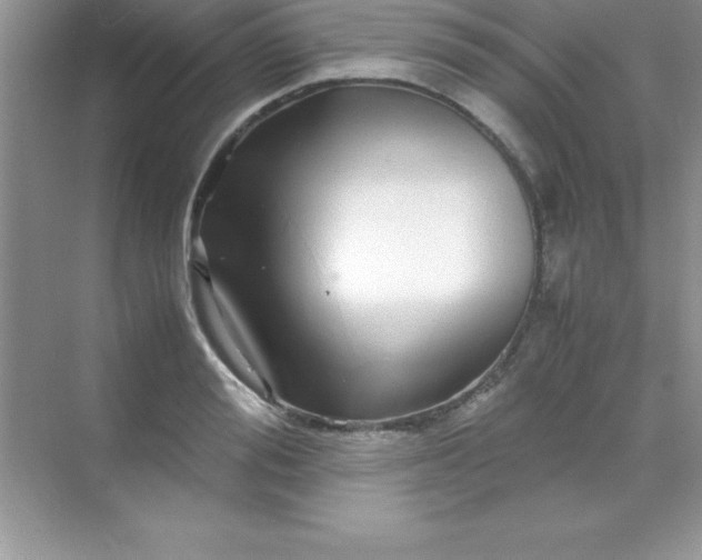 X0000070230988200606091712